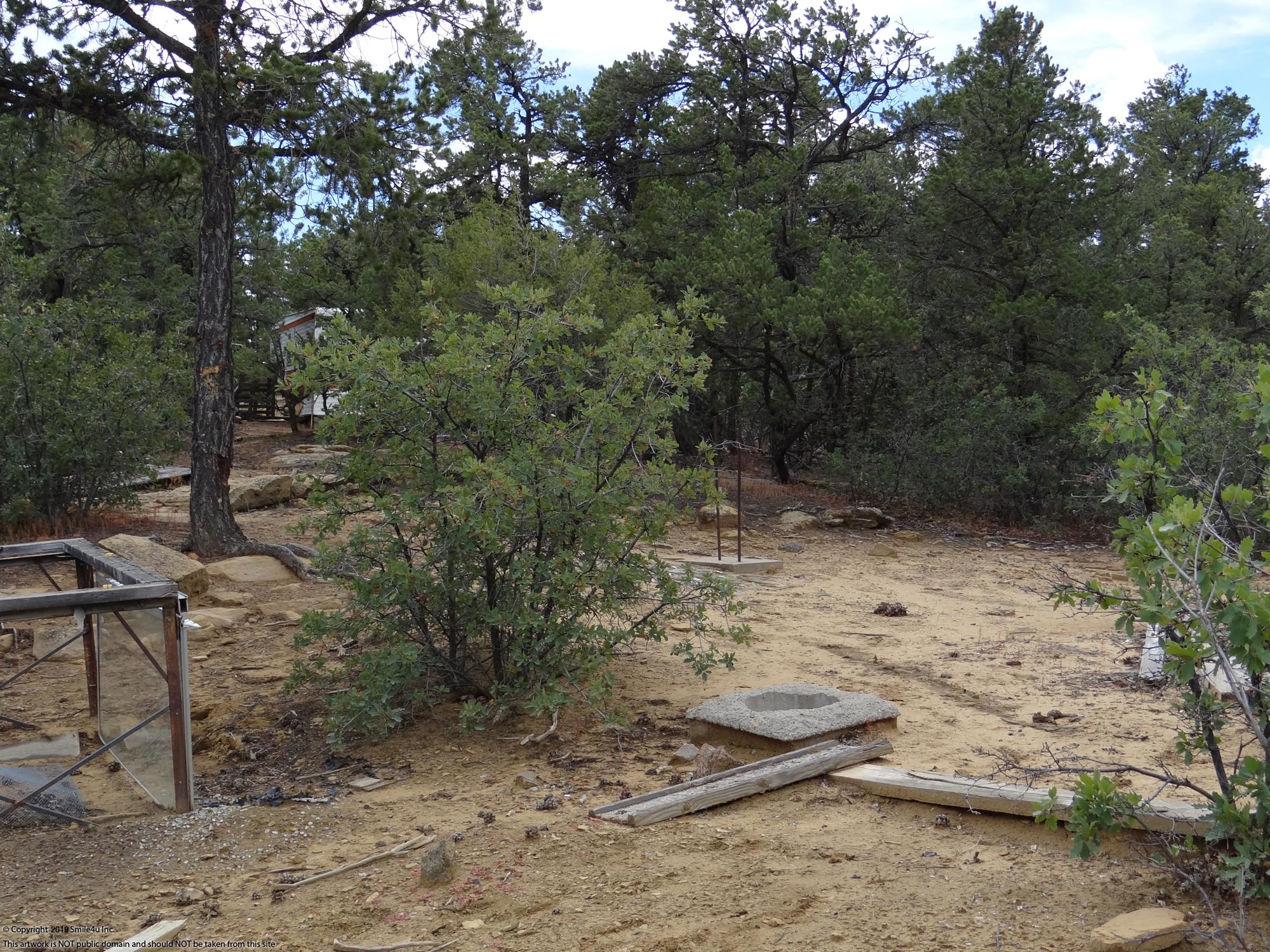 10 acres in Candy Kitchen New Mexico
